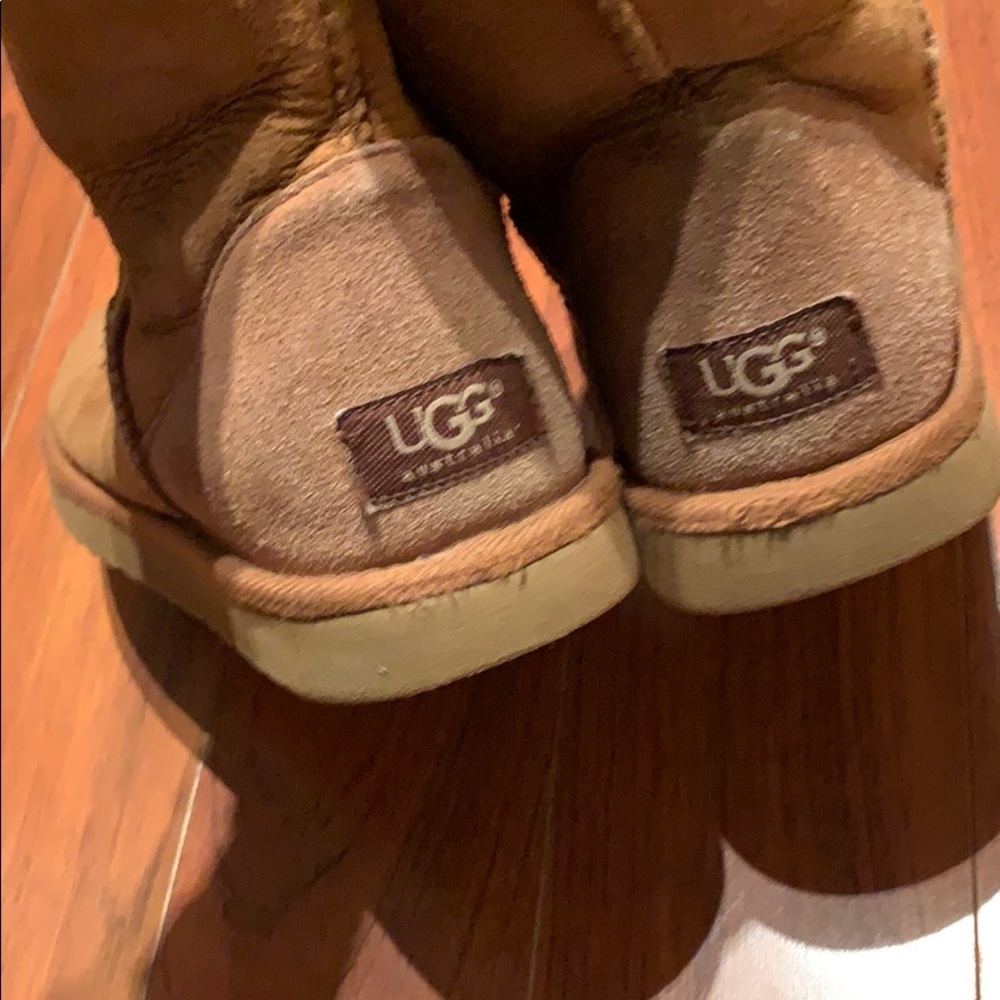 Chestnut Uggs - image 4